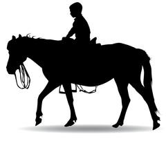 boy in the park riding a horse
