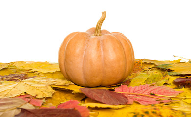 Naklejka na ściany i meble pumpkin and autumn leaves on white