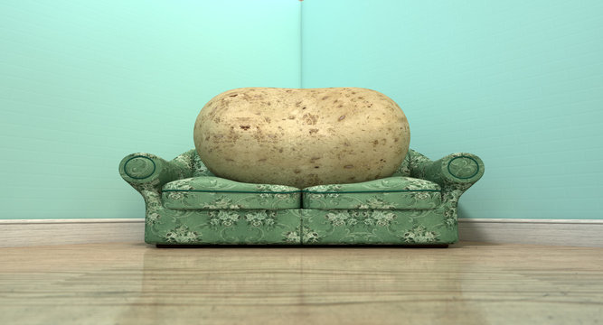 Couch Potato On Old Sofa