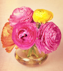 Colorful ranunculus flower in a yellow vase on vintage backgroun