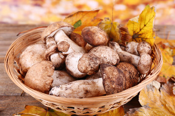 Wild mushrooms and autumn leaves in basket on bright background