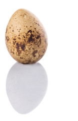 Quail eggs over white background