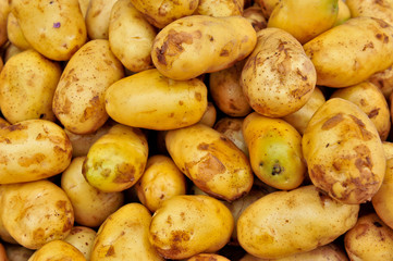 potatoes raw vegetables food background