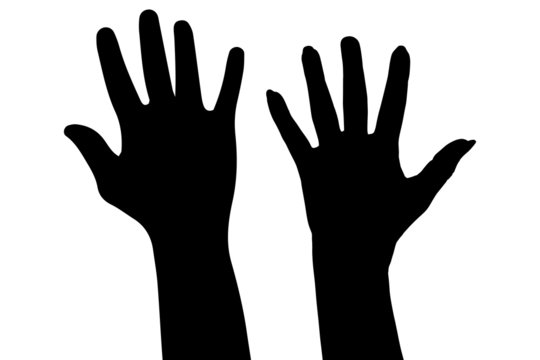 Vector silhouette of the hands.