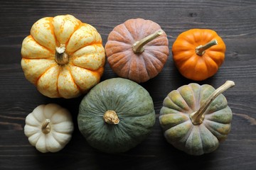 Squash and pumpkins