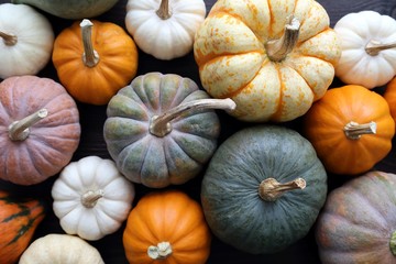 Squash and pumpkins