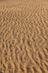 Fototapeta na wymiar Beach sand texture wave pattern