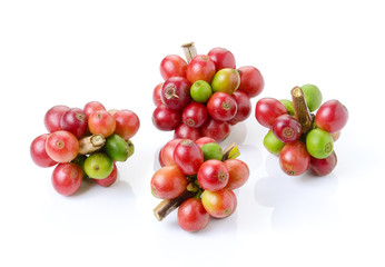 ripe coffee beans on white background