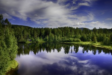 Fototapete bei efototapeten.de bestellen   
