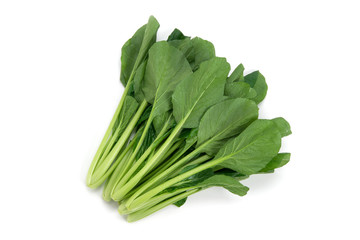 青菜