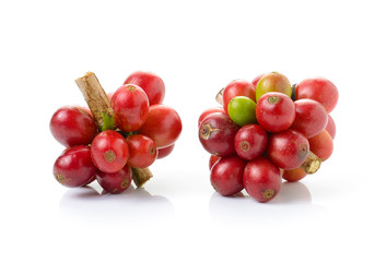 fresh coffee beans isolated on white background