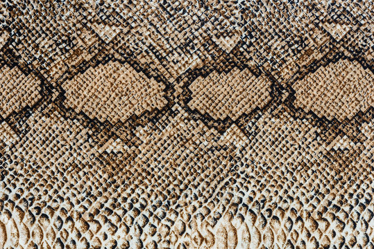 texture of fabric stripes snake leather