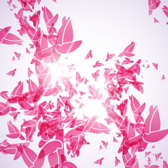 abstract background: turtle