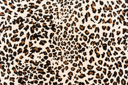 texture of print fabric striped leopard © photos777