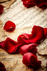 Music sheets with rose petals