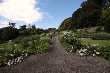 foothpath in english style garden