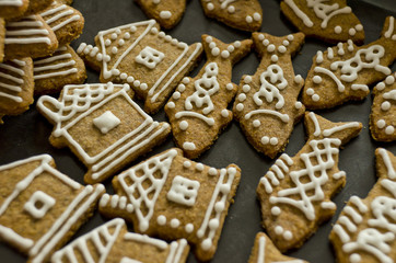 house and fish gingerbread