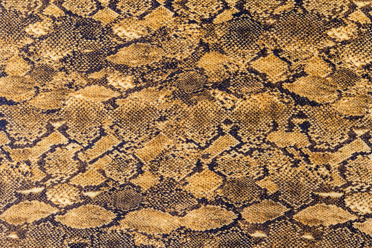 texture of fabric stripes snake leather