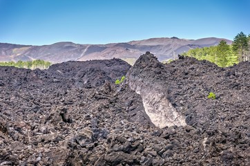 Landscapes of Etna, Sicily ,Italy.