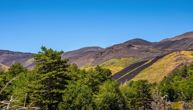 Landscapes of Etna, Sicily ,Italy.