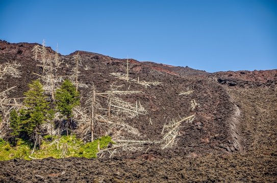 Landscapes of Etna, Sicily ,Italy.