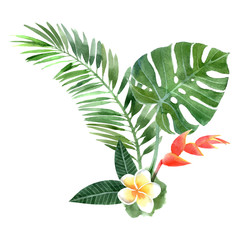 watercolor tropical plants