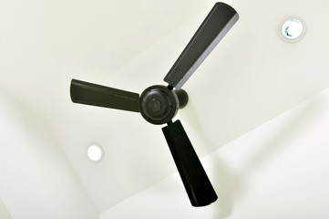 Four blades black Ceiling fan