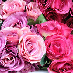 Close-up pink roses flower, pattern.