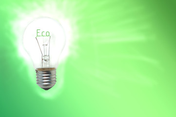 Werbung für Eco-Lampen