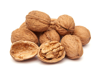 Common Walnut (juglans regia)