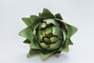 Obraz premium Fresh Artichoke