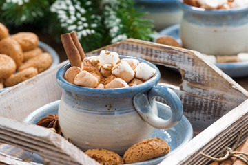 cocoa with marshmallows, cinnamon and cookies on a wooden tray