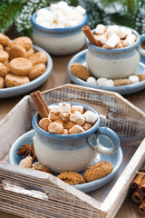 cocoa with marshmallows, cinnamon and cookies