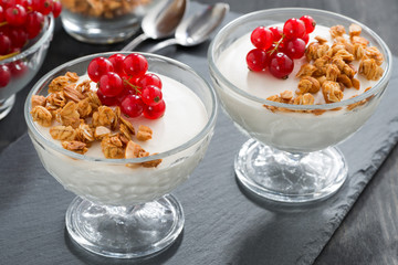creamy panna cotta with granola and fresh red currants