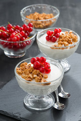 creamy panna cotta with granola and red currants, vertical