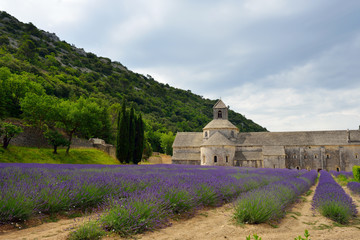 Abbey of Senanque