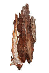 Bark tree