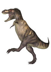 Dinosaur Tyrannosaurus