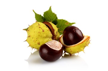Closeup three chestnuts with leaf isolated on a white