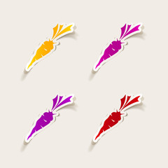 realistic design element: carrots