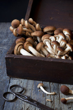 mushrooms on vintage wooden box on rustic table