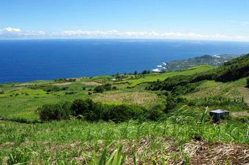 La Réunion - Matouta