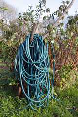Long coiled water hose