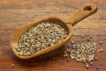 hemp seeds scoop