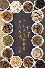 Chinese Acupuncture