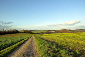 Fototapeta na wymiar Feldweg in Herbstlandschaft in Ostwestfalen
