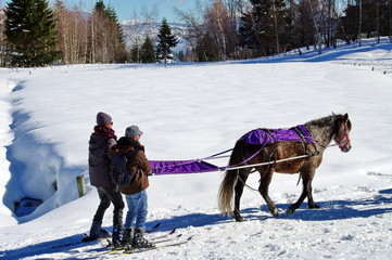 ski joëring