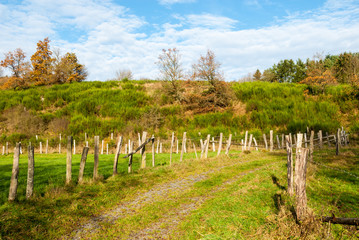 Fototapeta premium Blick vom Gelängebachtal auf das Naturschutzgebiet Gelängeberg