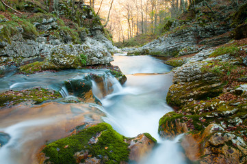Torrente