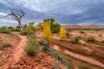 Muddy Creek and Autumn Foliage - Utah Fall Landscape